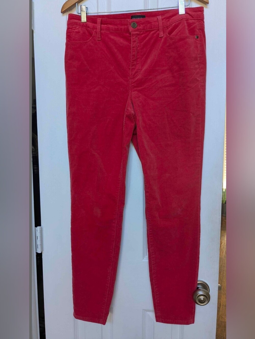 Women’s Rusty Red Corduroy Stretch Jeggings Size 8